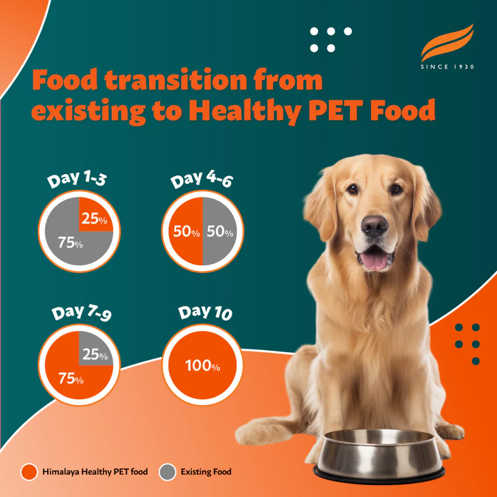 Himalaya Chicken & Pumpkin Adult Dog Dry Food - Image 7
