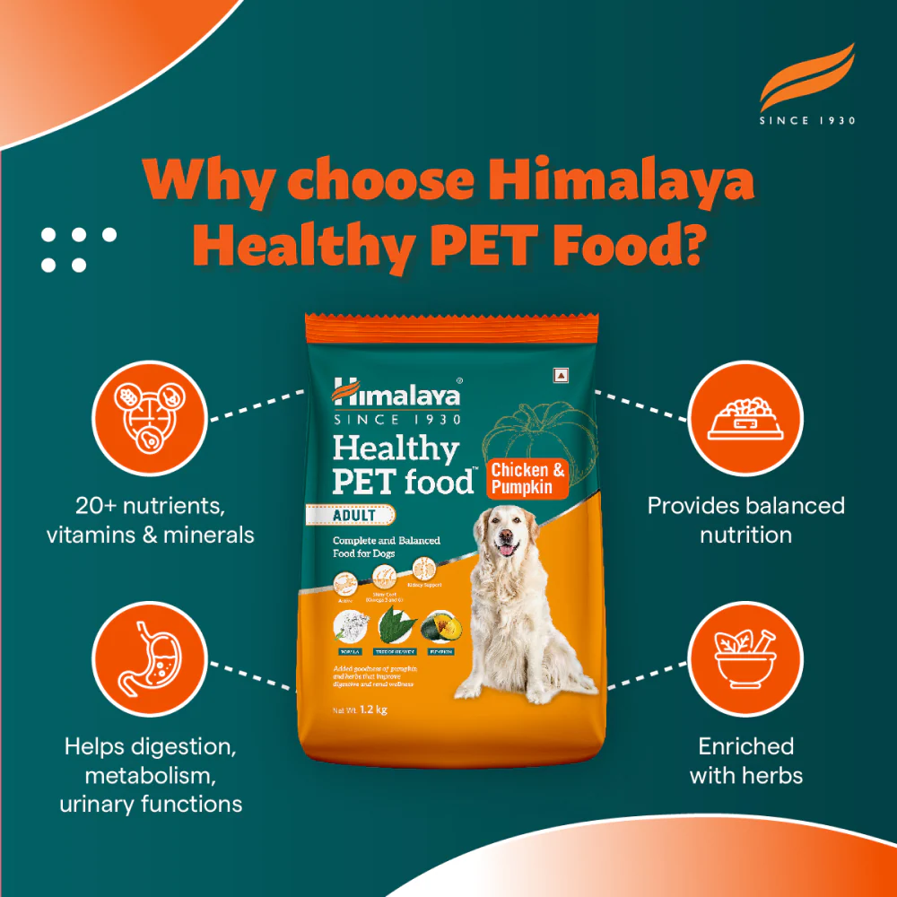 Himalaya Chicken & Pumpkin Adult Dog Dry Food - Image 8