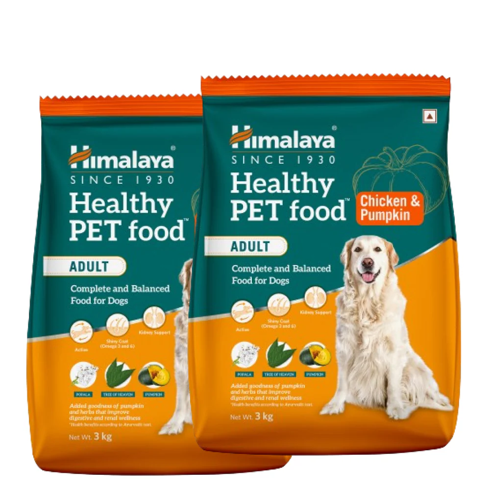 Himalaya Chicken & Pumpkin Dry Food and Chicken Healthy Treats Adult Dog Combo - Image 15