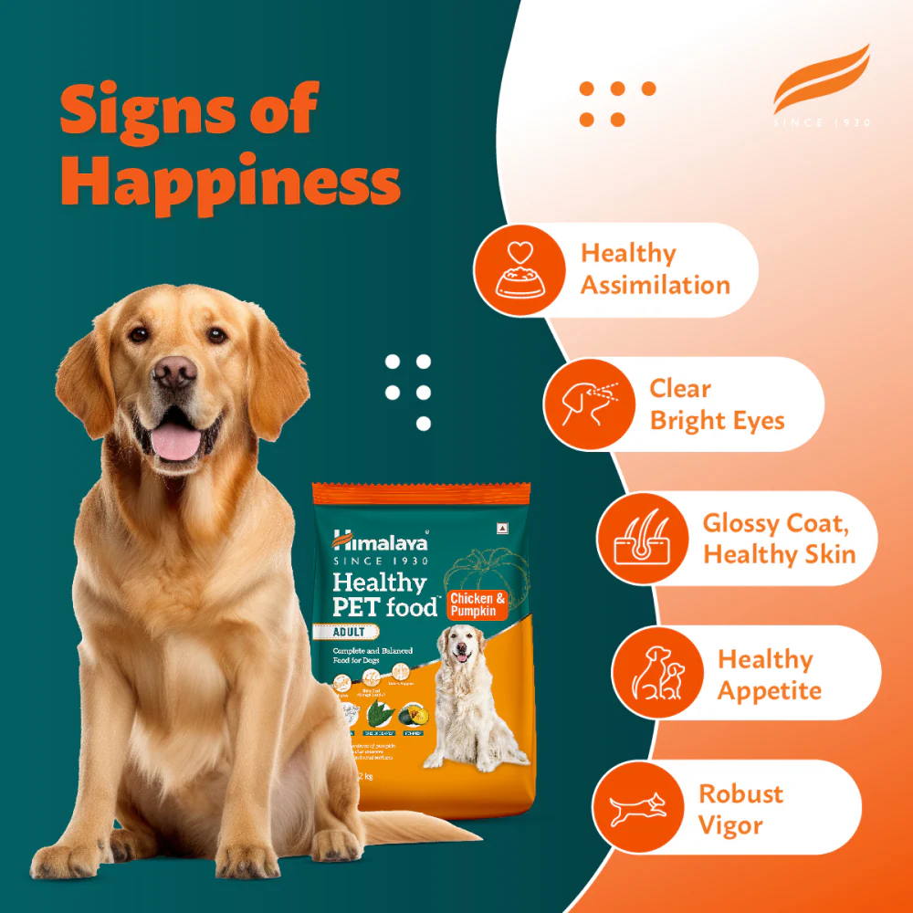 Himalaya Chicken & Pumpkin Dry Food and Chicken Healthy Treats Adult Dog Combo - Image 7