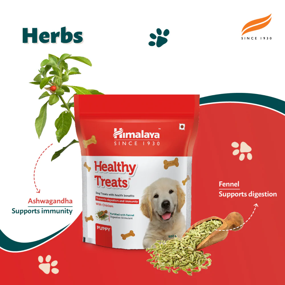 Himalaya Chicken & Rice Healthy Pet Dry Food and Chicken Healthy Treats Puppy Combo - Image 21