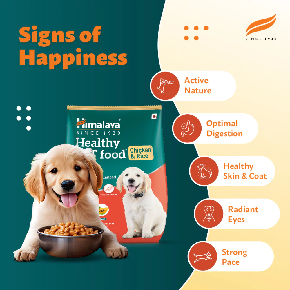 Himalaya Chicken & Rice Healthy Pet Puppy Dog Dry Food - Image 6