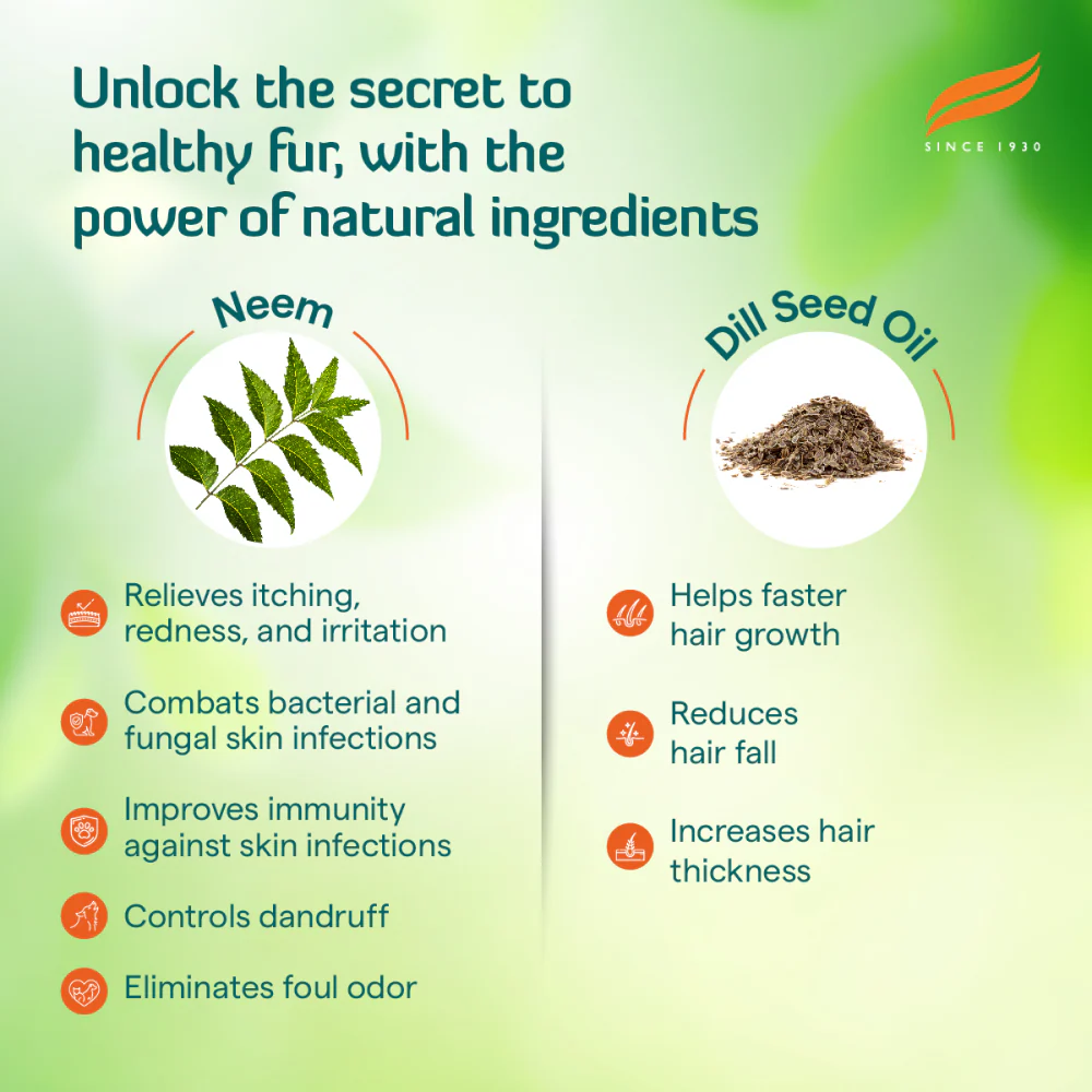 Himalaya Erina Coat Cleanser Shampoo for Dogs and Cats - Image 5