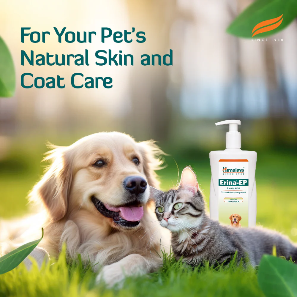 Himalaya Erina EP Tick and Flea Shampoo for Dogs and Cats - Image 7