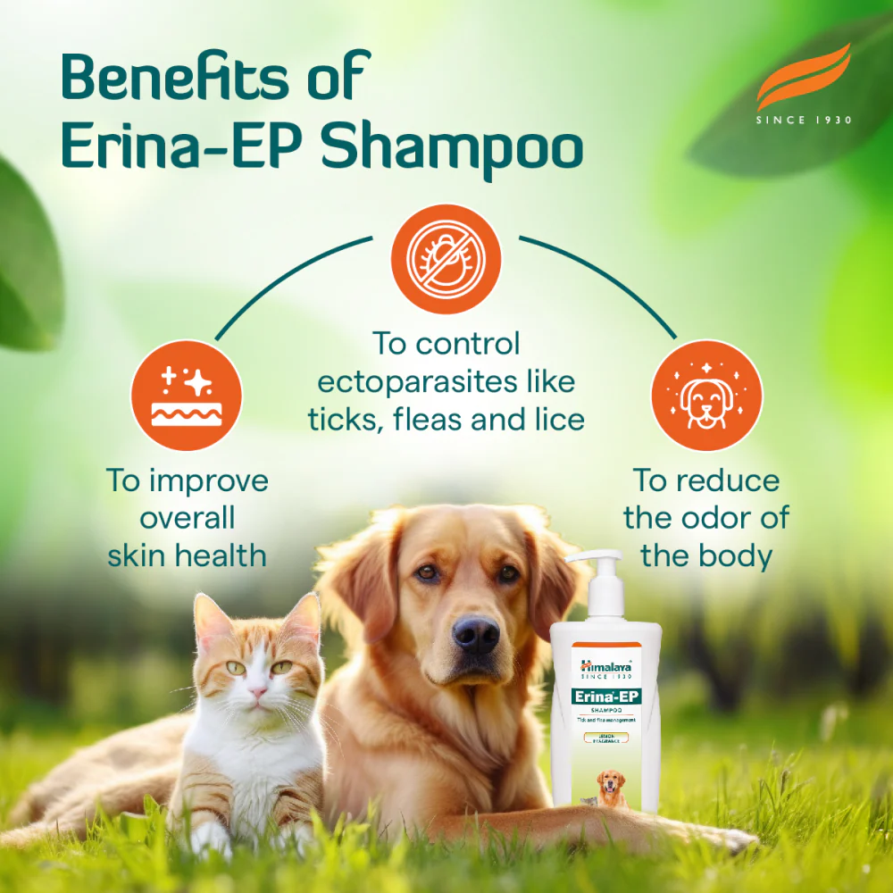 Himalaya Erina EP Tick and Flea Shampoo for Dogs and Cats - Image 3