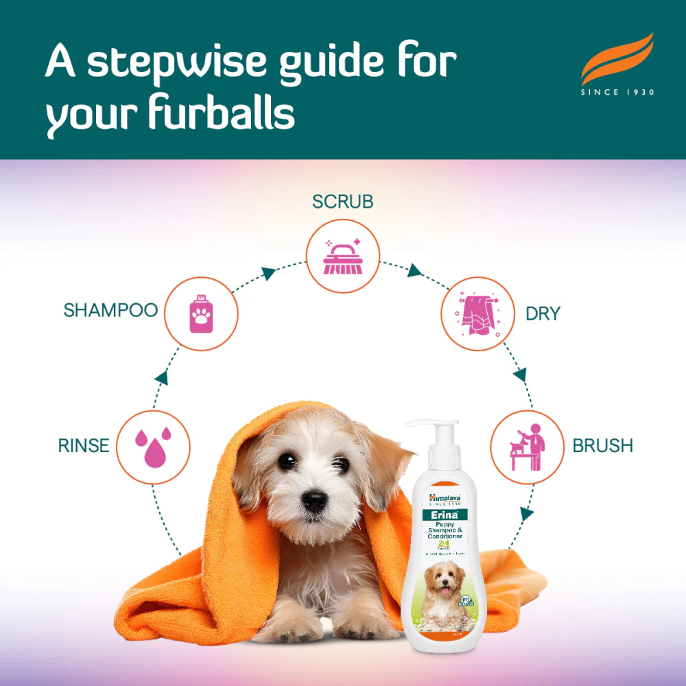 Himalaya Erina Shampoo & Conditioner for Puppies - Image 4