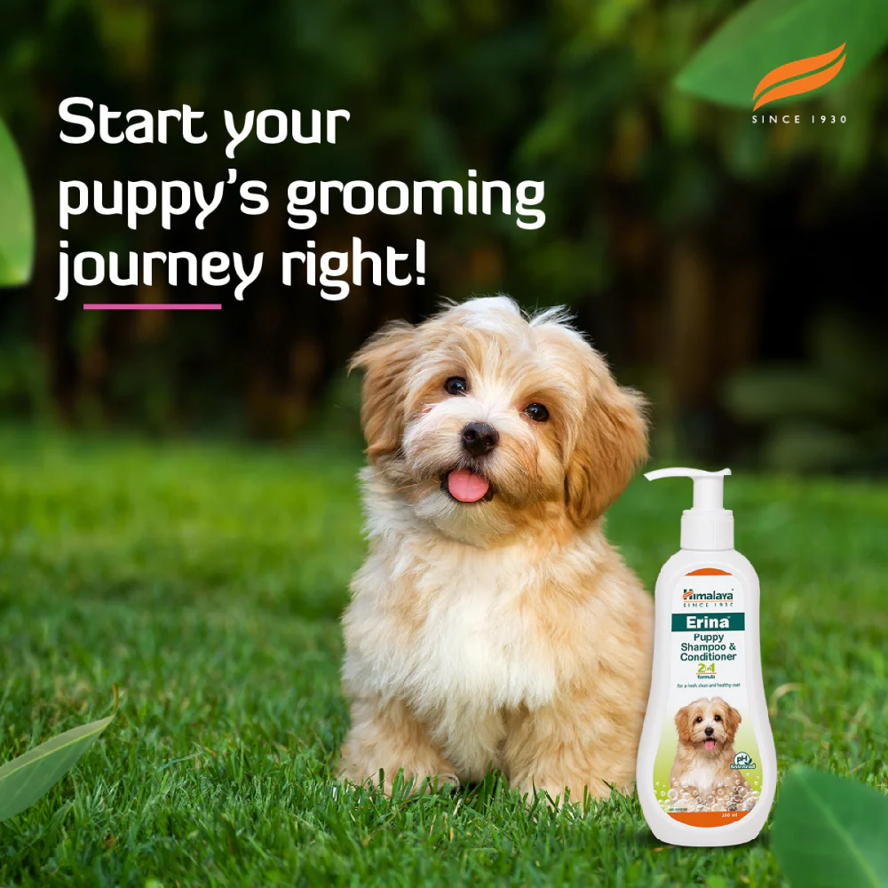 Himalaya Erina Shampoo & Conditioner for Puppies - Image 9