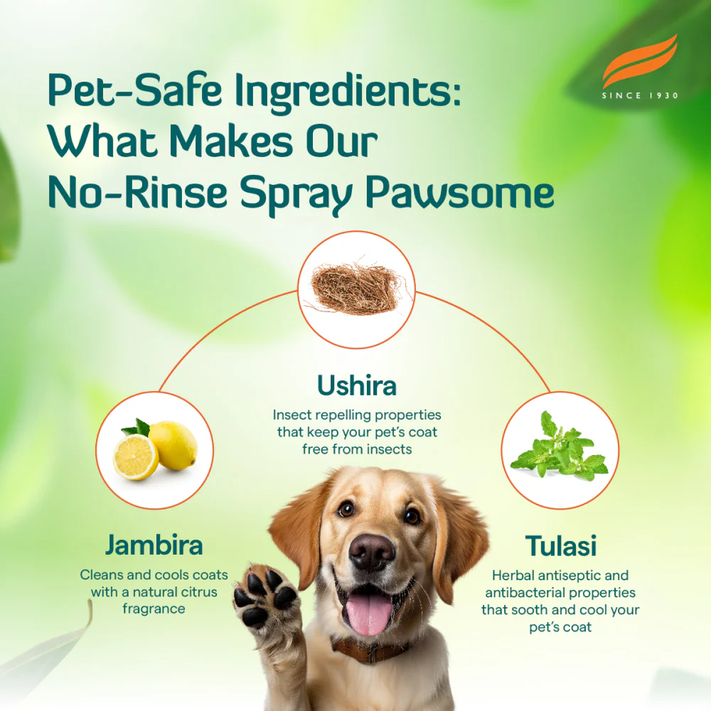 Himalaya Fresh Coat No Rinse Spray for Dogs and Cats - Image 4