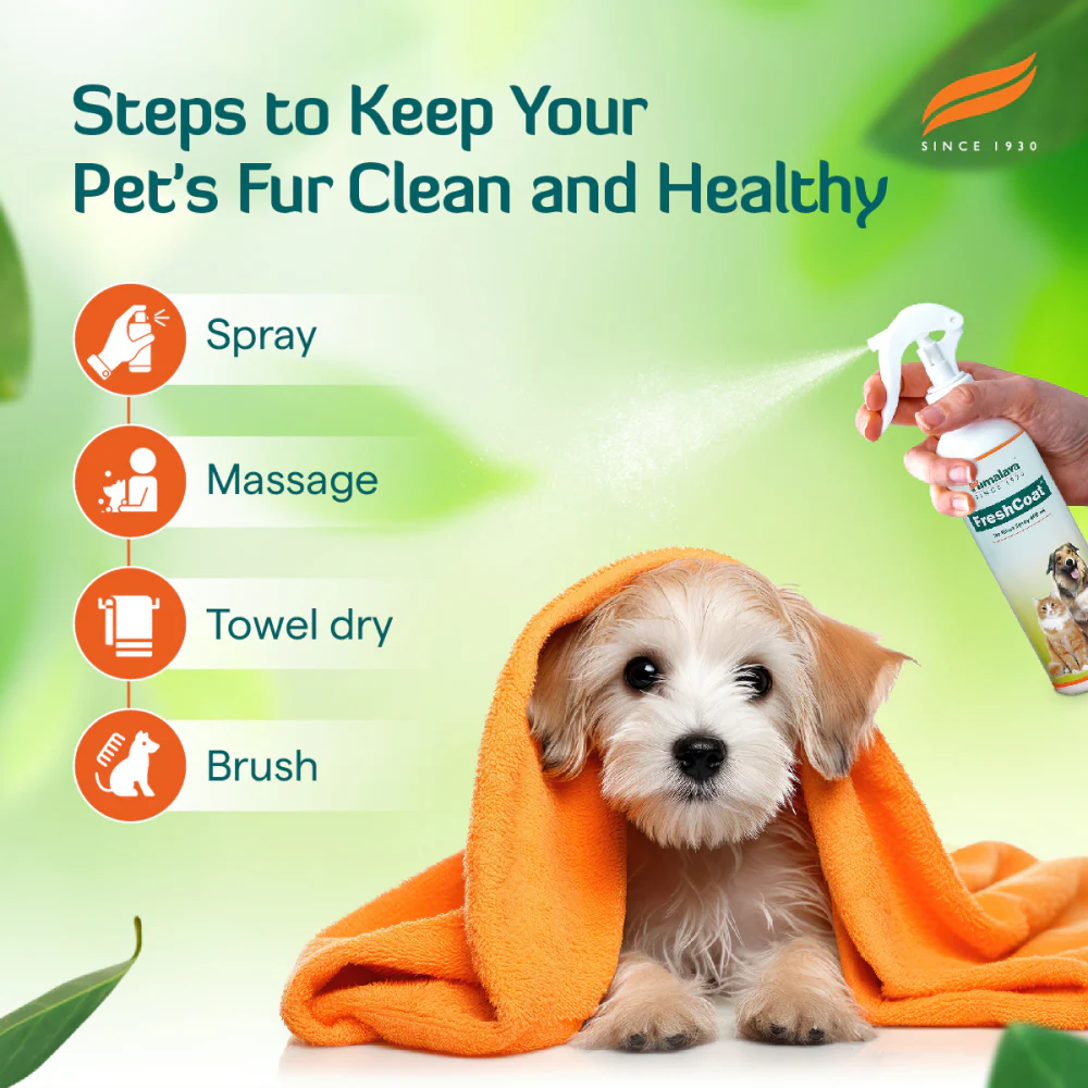 Himalaya Fresh Coat No Rinse Spray for Dogs and Cats - Image 5