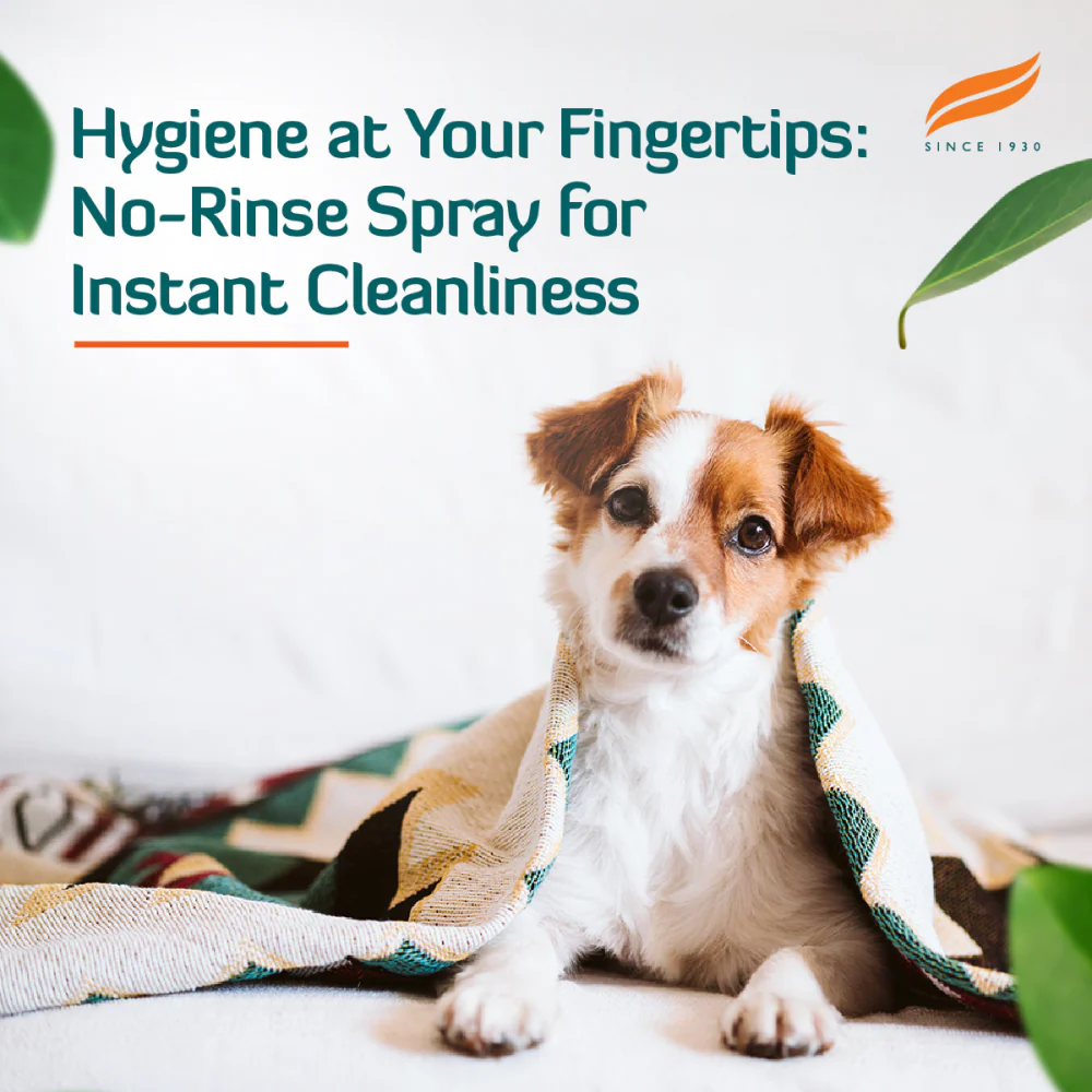 Himalaya Fresh Coat No Rinse Spray for Dogs and Cats - Image 6
