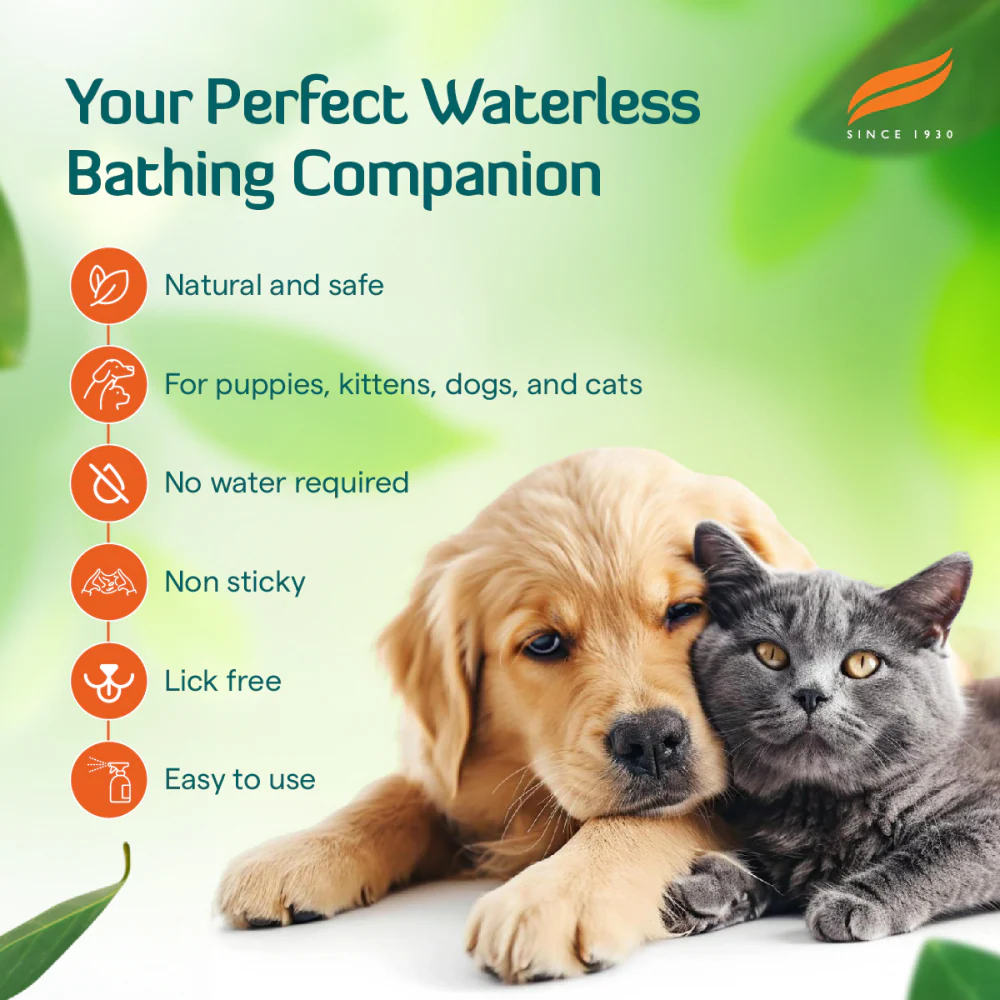 Himalaya Fresh Coat No Rinse Spray for Dogs and Cats - Image 7