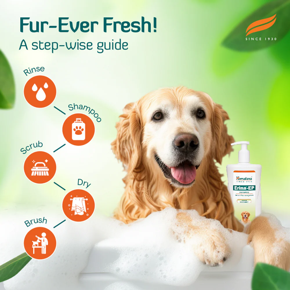 Himalaya Erina EP Tick and Flea Shampoo and Himpyrin Anti Inflammatory & Pain Relief Drops for Dogs and Cats Combo - Image 7