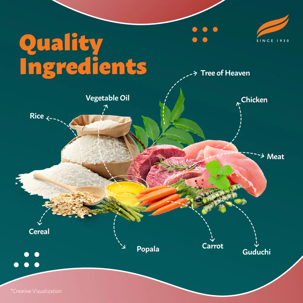 Himalaya Meat & Rice Healthy Pet Dry Food and Chicken Healthy Treats Adult Dog Combo - Image 5