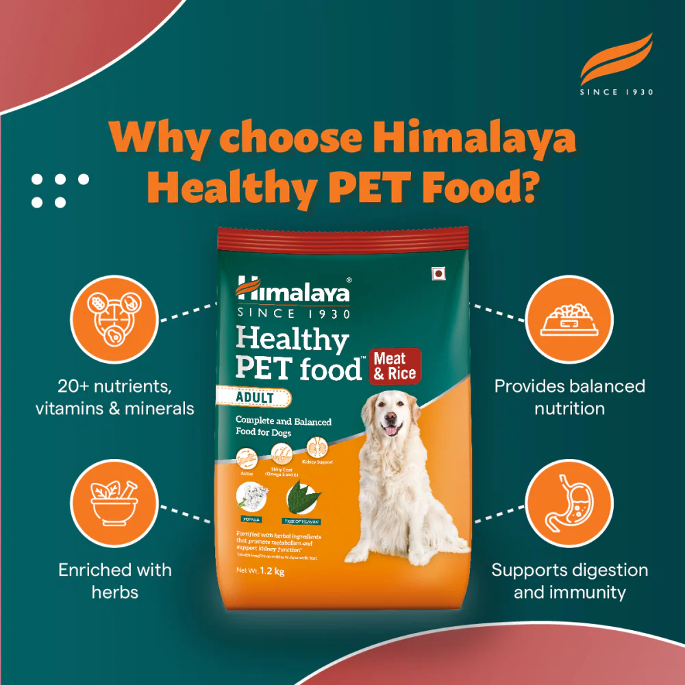 Himalaya Meat & Rice Healthy Pet Dry Food and Chicken Healthy Treats Adult Dog Combo - Image 6