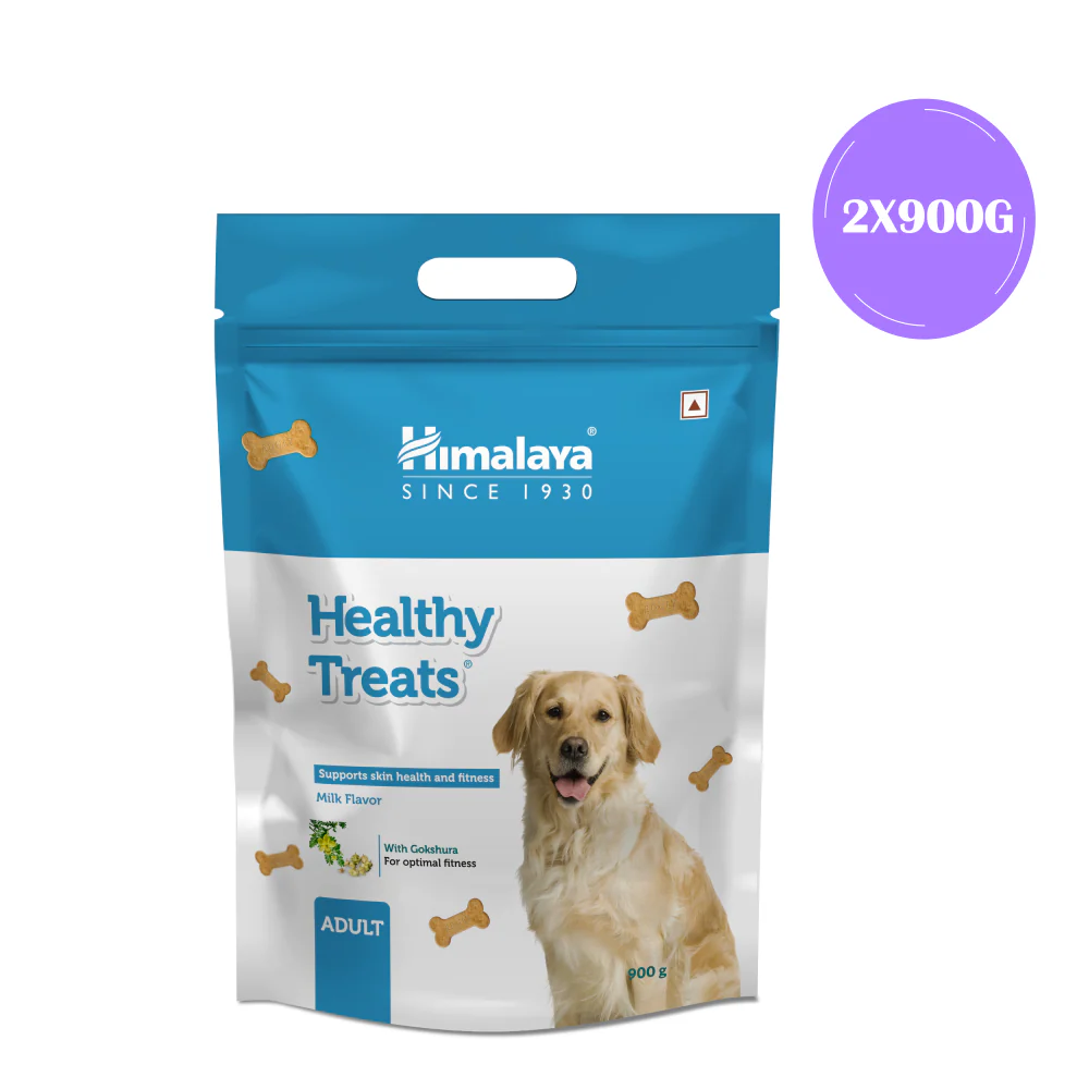 Himalaya Milk Flavour Healthy Adult Dog Treats - Image 2