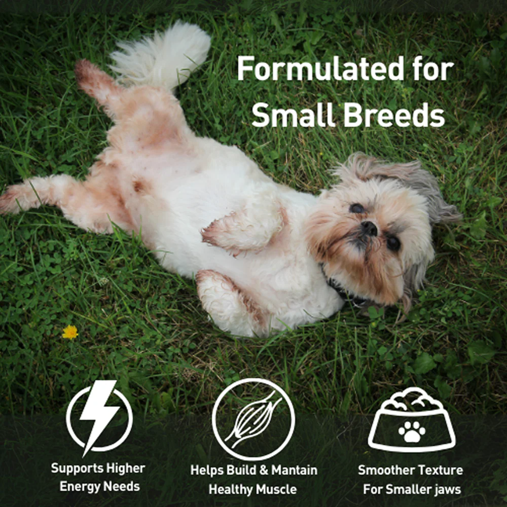 Homiee & Ginger Grain Free Mini Meals Chicken & Sweet Potato Fresh Food for Dogs - Image 4