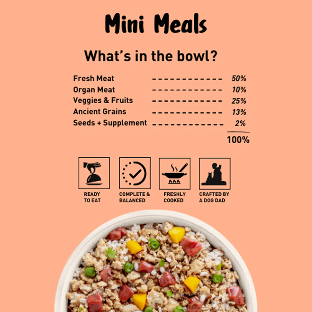 Homiee & Ginger Grain Free Mini Meals Surf & Turf, Fish Feista, Chicken & Barley Food for Dogs Combo - Image 14
