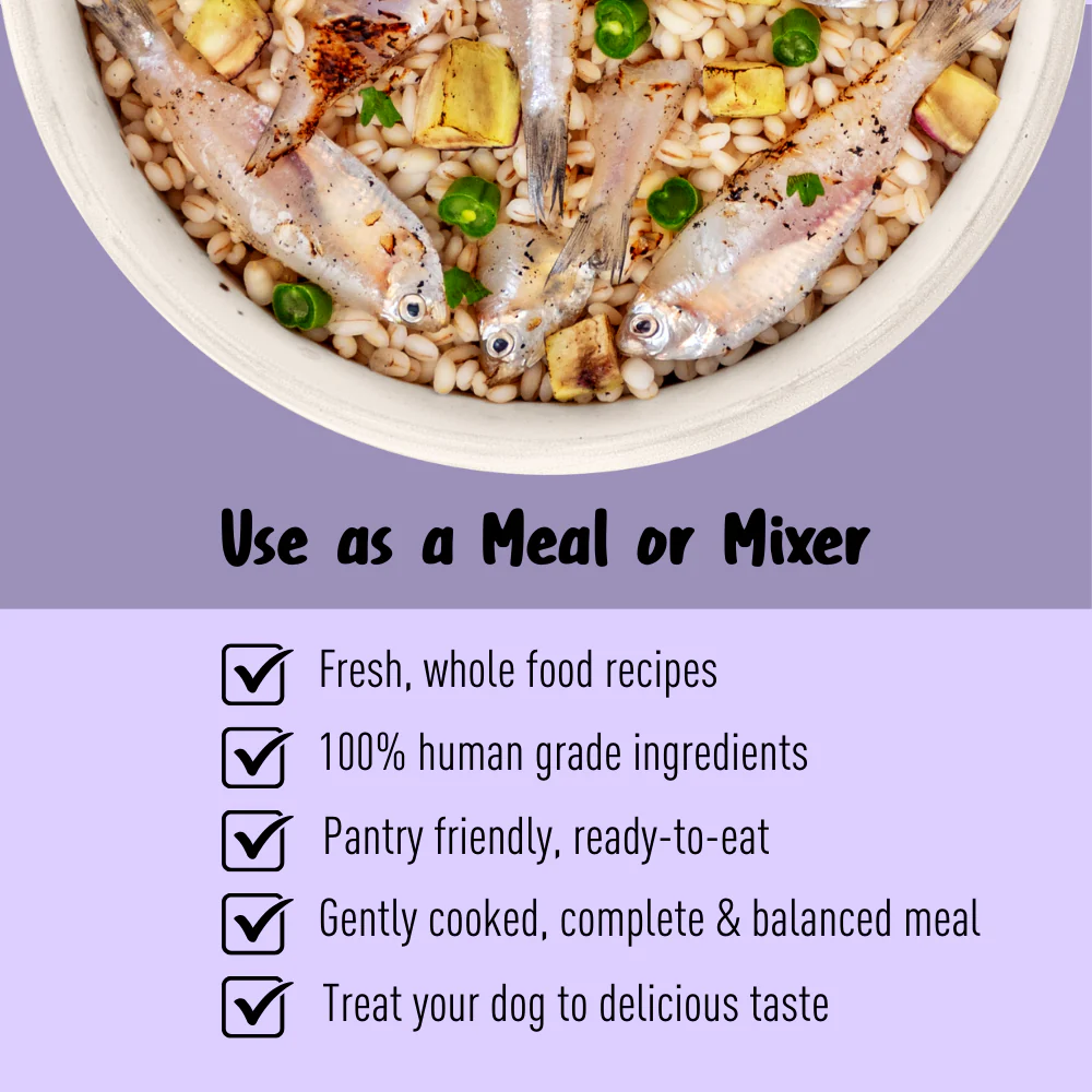 Homiee & Ginger Grain Free Mini Meals Surf & Turf, Fish Feista, Chicken & Barley Food for Dogs Combo - Image 19