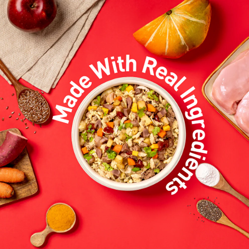 Homiee & Ginger Mini Meals Chicken & Barle, Chicken & Sweet Potato and Chicken & Quinoa Fresh Food for Dogs Combo - Image 10