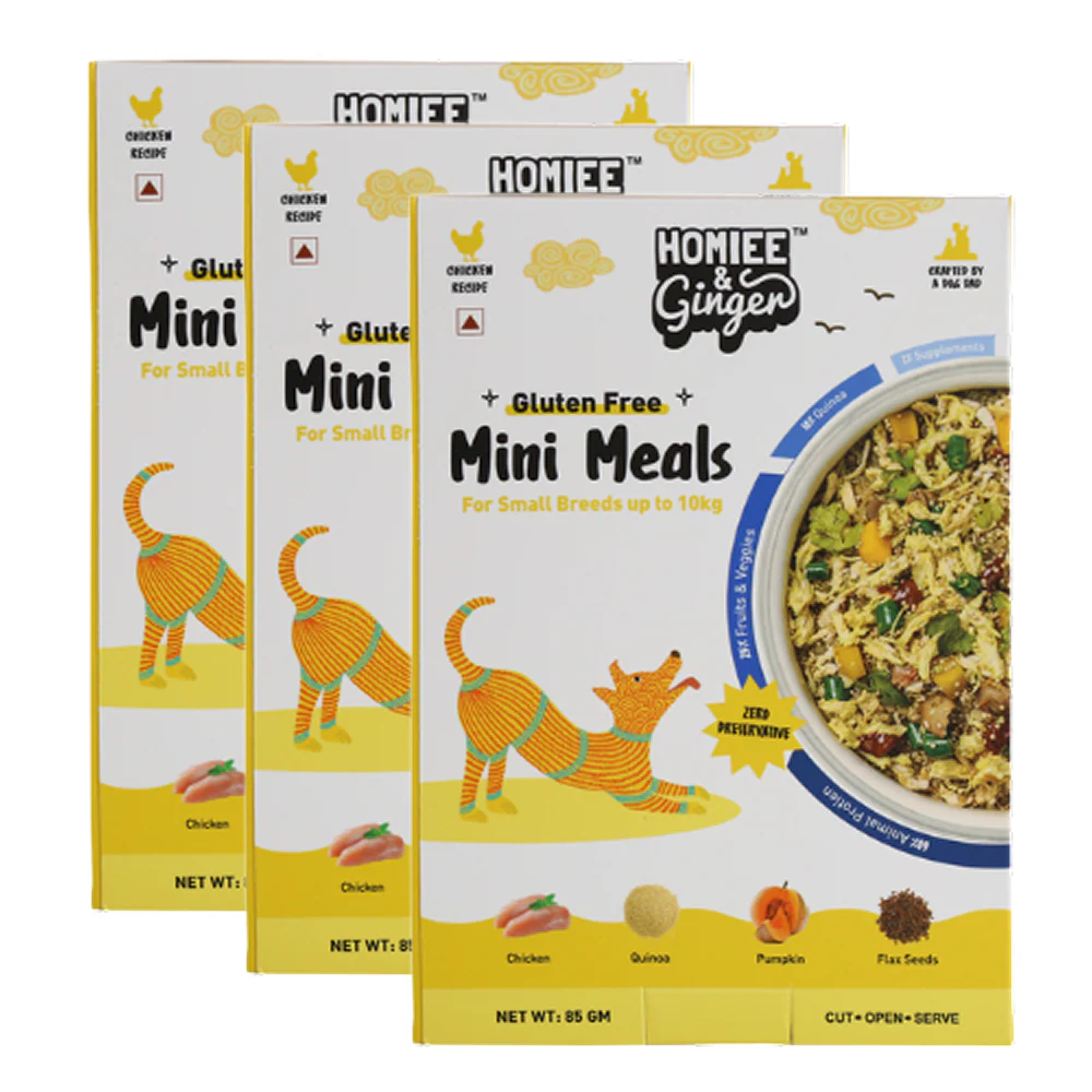 Homiee & Ginger Gluten Free Mini Meals Chicken & Quinoa Fresh Food for Dogs - Image 9