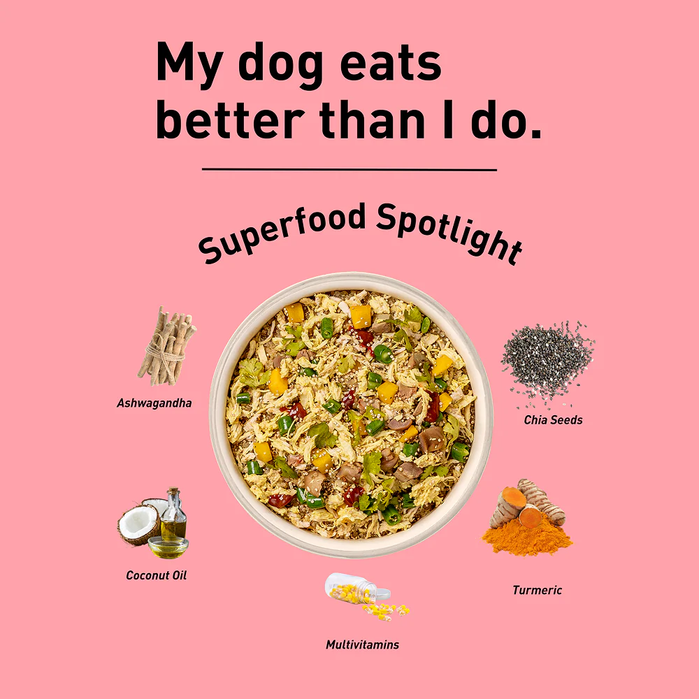Homiee & Ginger Power Bowl Chicken & Sweet Potato Fresh Food for Dogs - Image 2