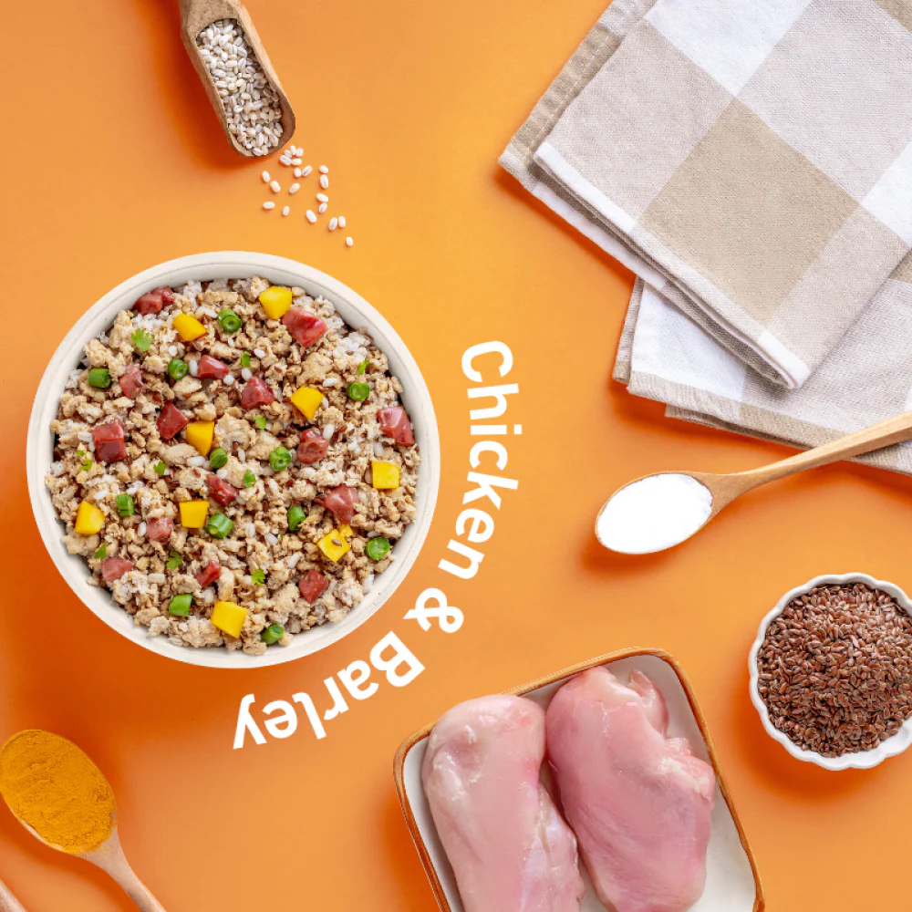 Homiee & Ginger Power Bowl Surf & Turf, Fish Fiesta and Chicken & Barley Fresh Food for Dogs Combo - Image 10