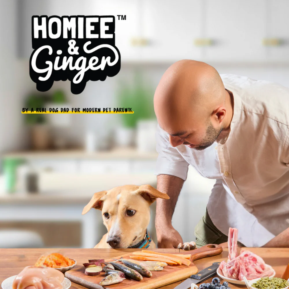 Homiee & Ginger Power Bowl Surf & Turf, Fish Fiesta and Chicken & Barley Fresh Food for Dogs Combo - Image 21