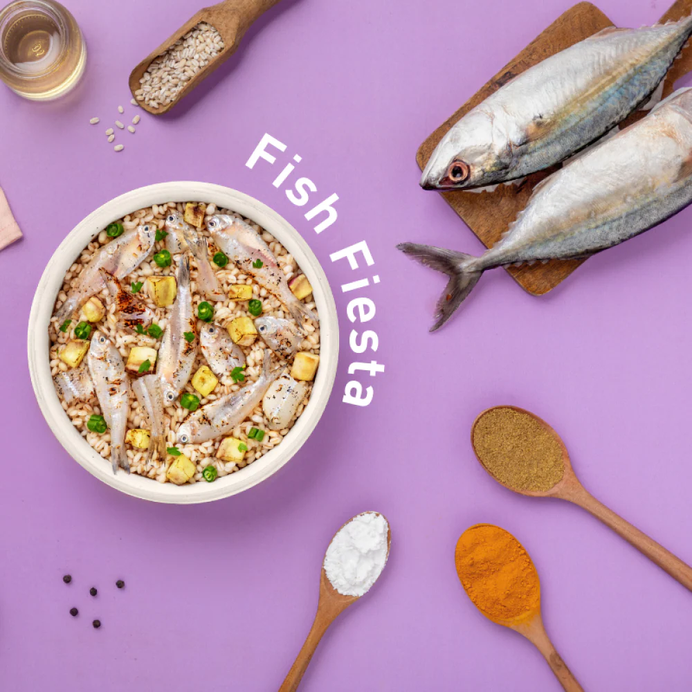 Homiee & Ginger Power Bowl Surf & Turf, Fish Fiesta and Chicken & Barley Fresh Food for Dogs Combo - Image 9