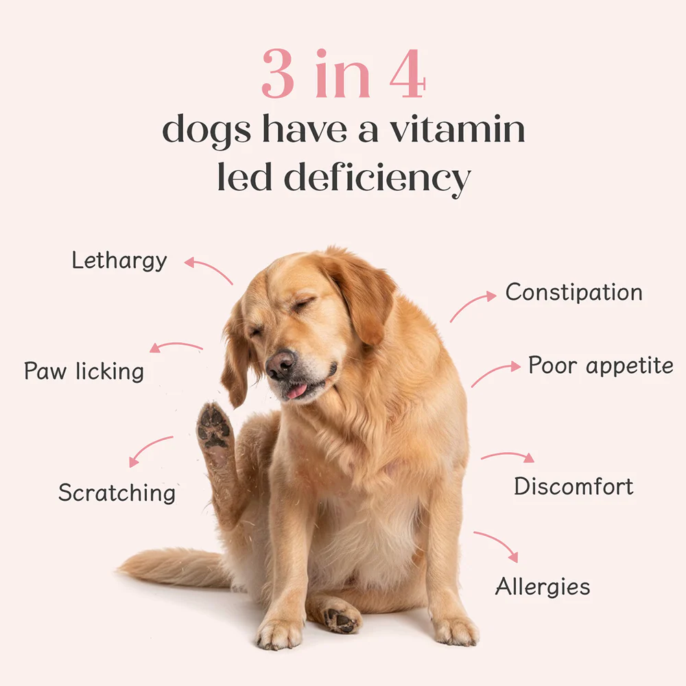 Hope All in One Chicken Flavoured Vitamins & Joint Support Supplement for Dogs - Image 4