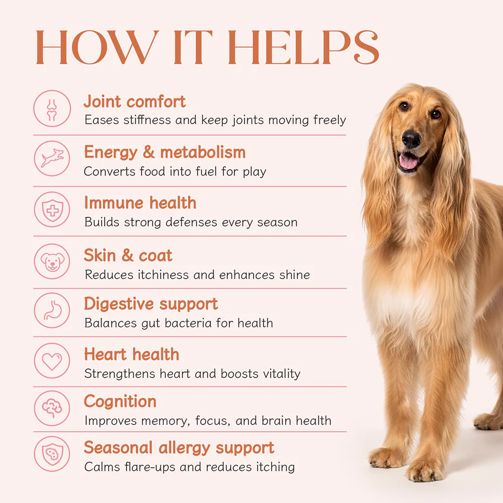 Hope All in One Chicken Flavoured Vitamins & Joint Support Supplement for Dogs - Image 6