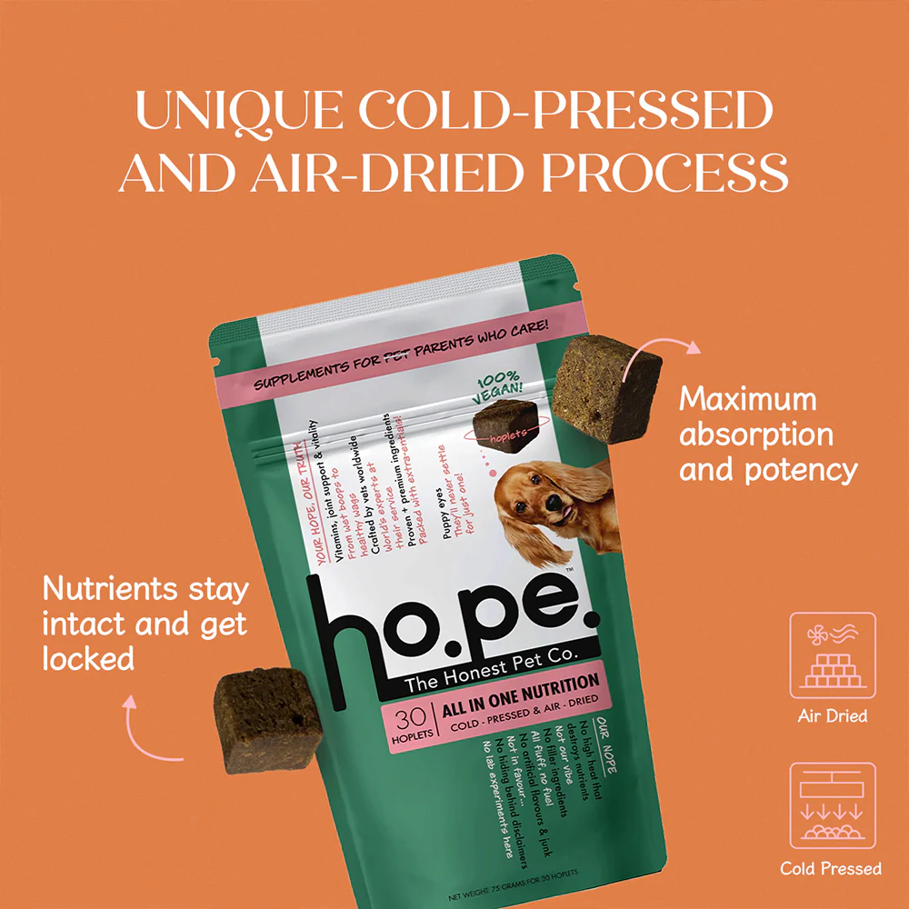 Hope All in One Vegan Vitamins & Joint Support Supplement for Dogs - Image 2