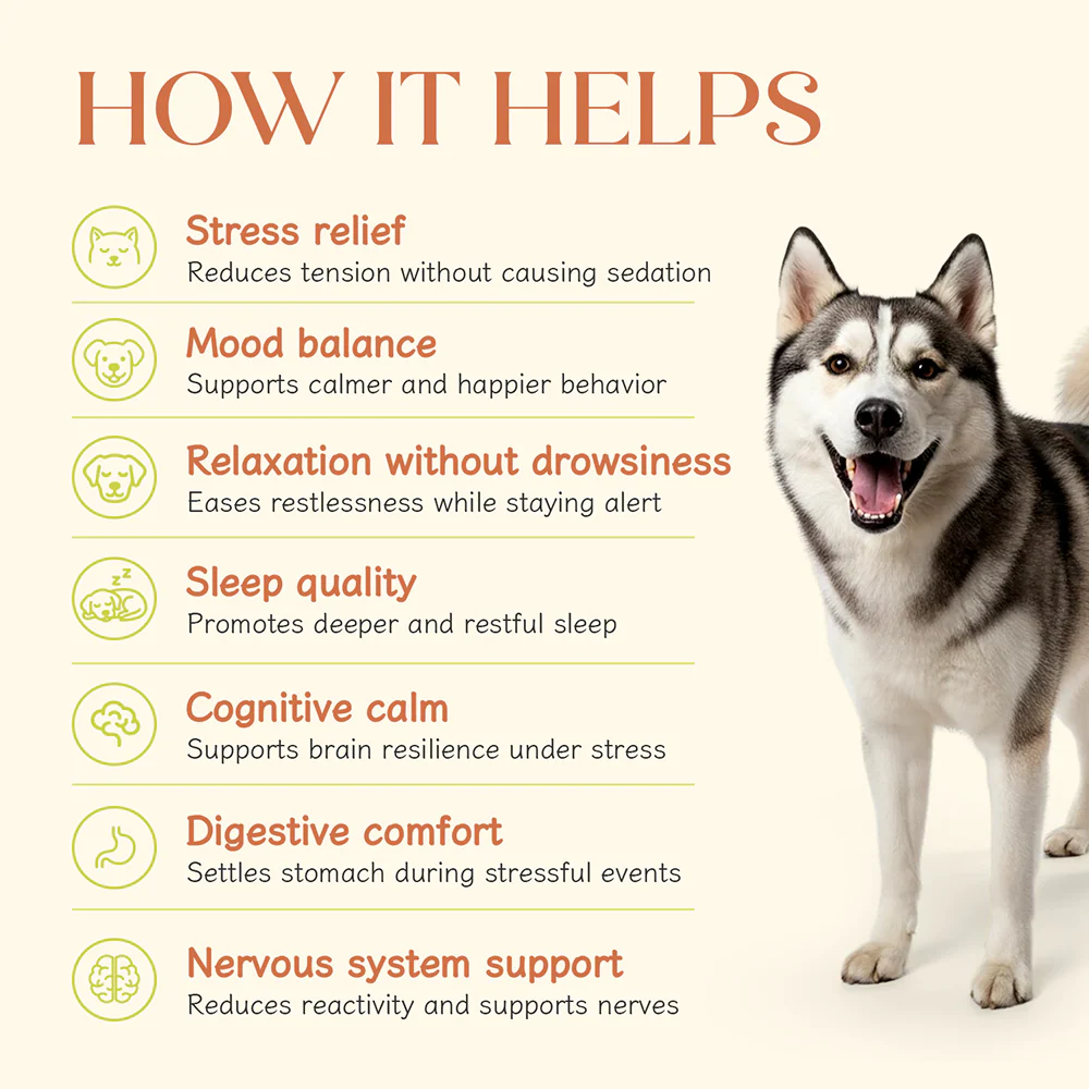 Hope Chicken Flavoured Calming Supplement for Dogs - Image 4