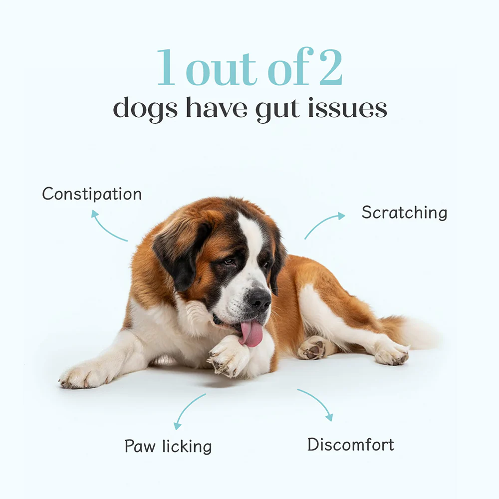 Hope Chicken Flavoured Pre+ Probiotics Supplement for Dogs - Image 3