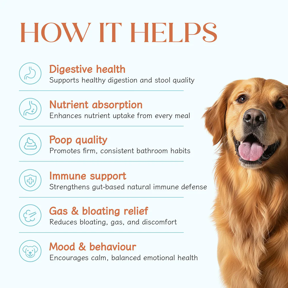 Hope Chicken Flavoured Pre+ Probiotics Supplement for Dogs - Image 6