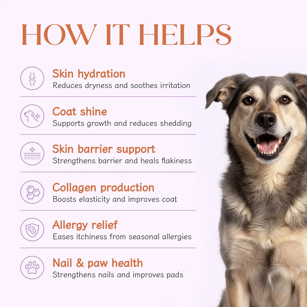Hope Chicken Flavoured Skin+Coat Supplement for Dogs - Image 3