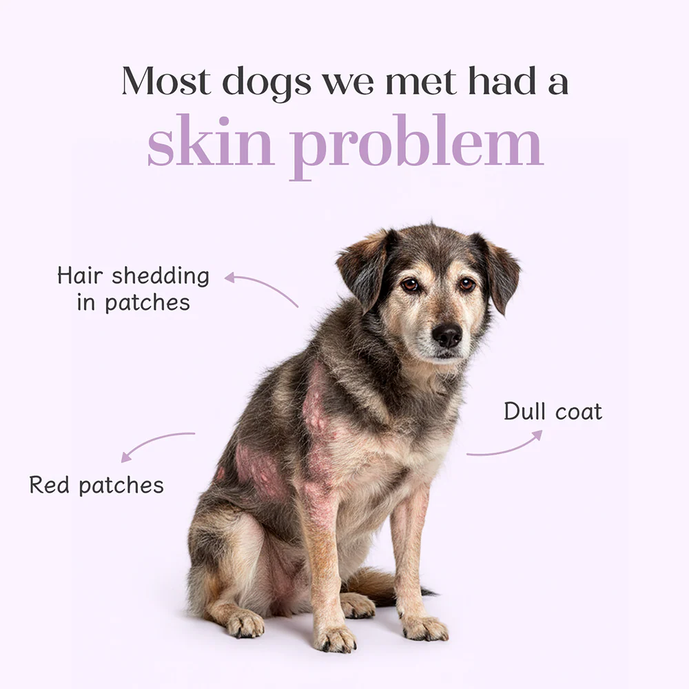 Hope Chicken Flavoured Skin+Coat Supplement for Dogs - Image 4