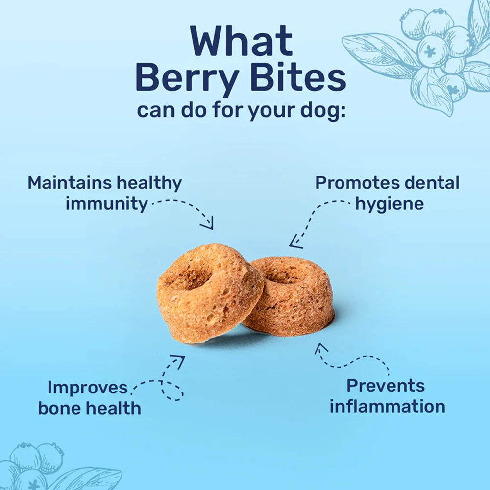 HUFT Berry Bites Real Chicken & Blueberries Dog Treats - Image 2
