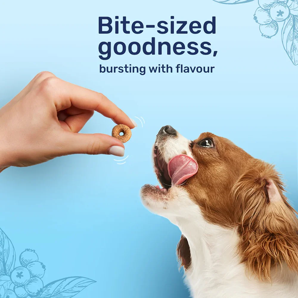 HUFT Berry Bites Real Chicken & Blueberries Dog Treats - Image 3