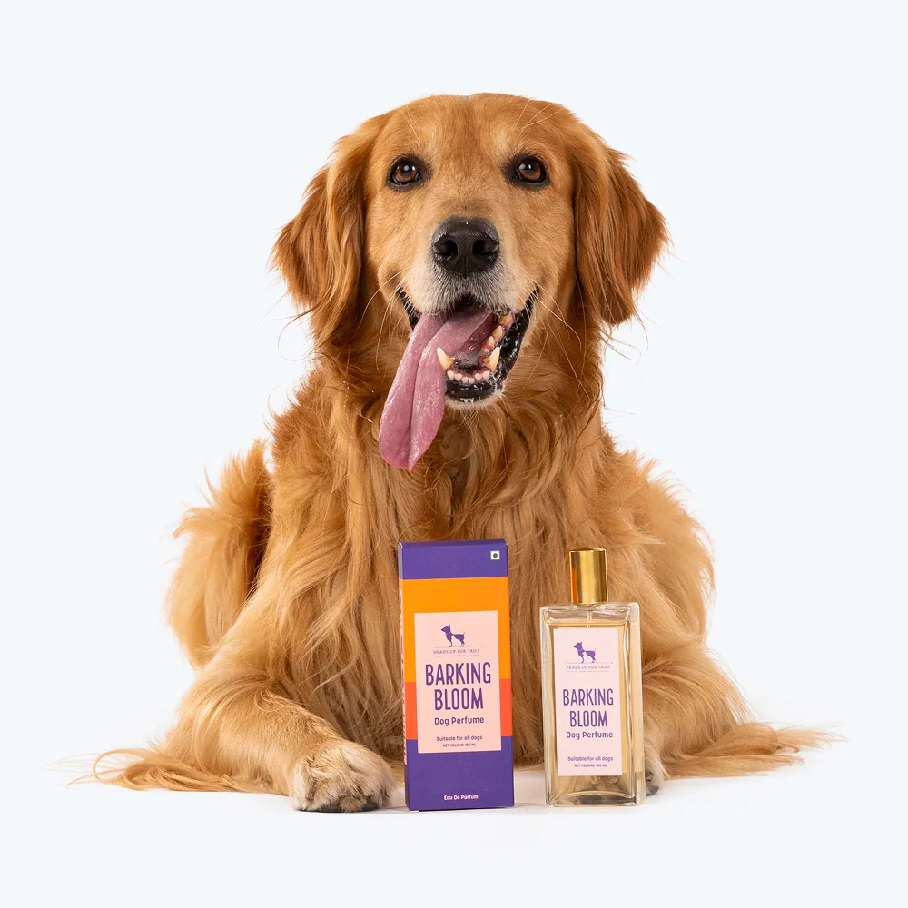 HUFT Barking Bloom Perfume For Dogs - Image 10