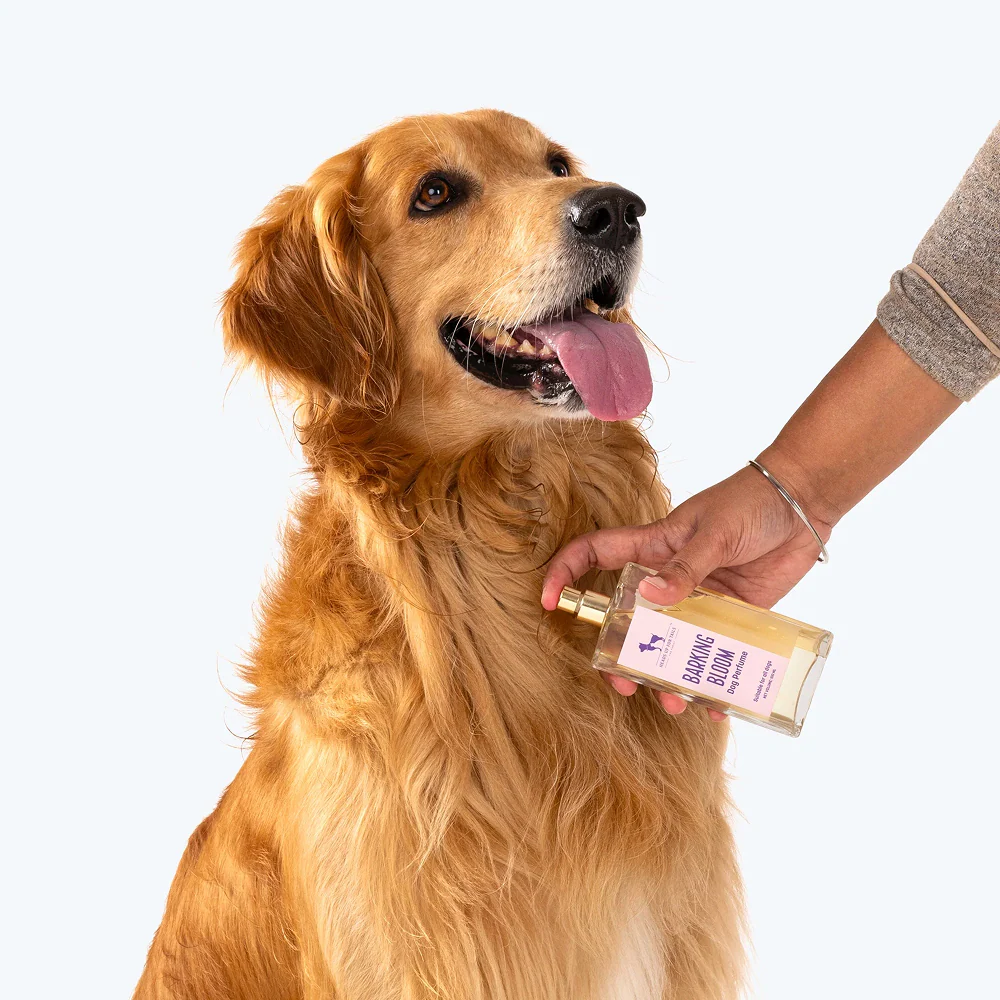 HUFT Barking Bloom Perfume For Dogs - Image 11