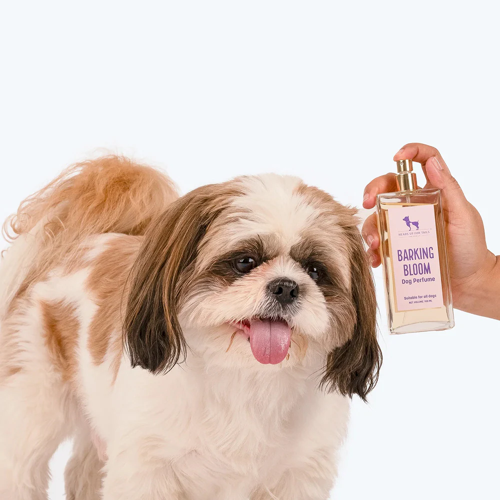HUFT Barking Bloom Perfume For Dogs - Image 9