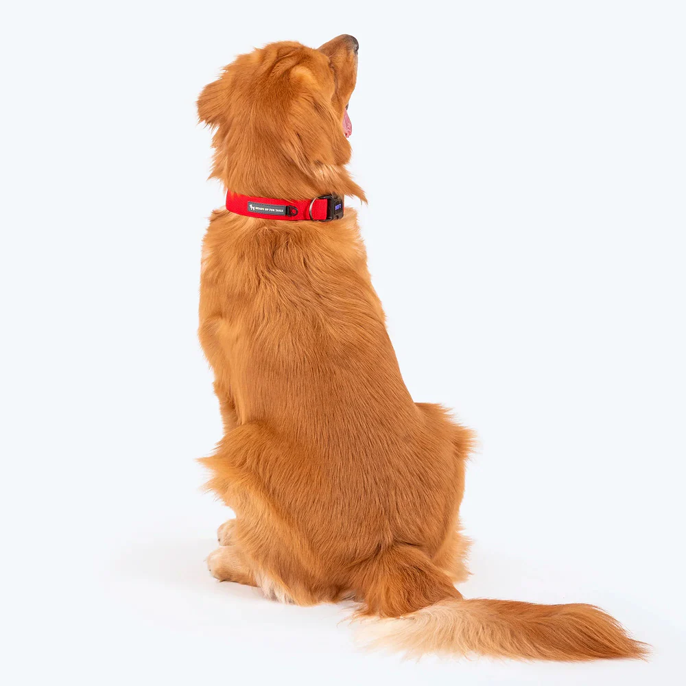 HUFT Basics Adjustable Nylon D Ring Collar for Dogs (Crimson Red) - Image 6