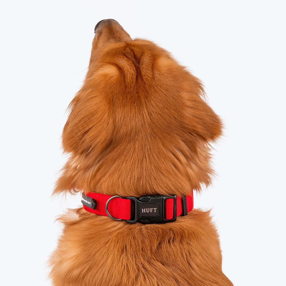HUFT Basics Adjustable Nylon D Ring Collar for Dogs (Crimson Red) - Image 7