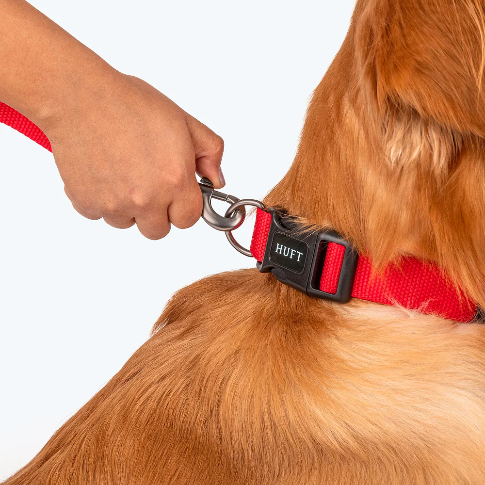 HUFT Basics Adjustable Nylon D Ring Collar for Dogs (Crimson Red) - Image 8
