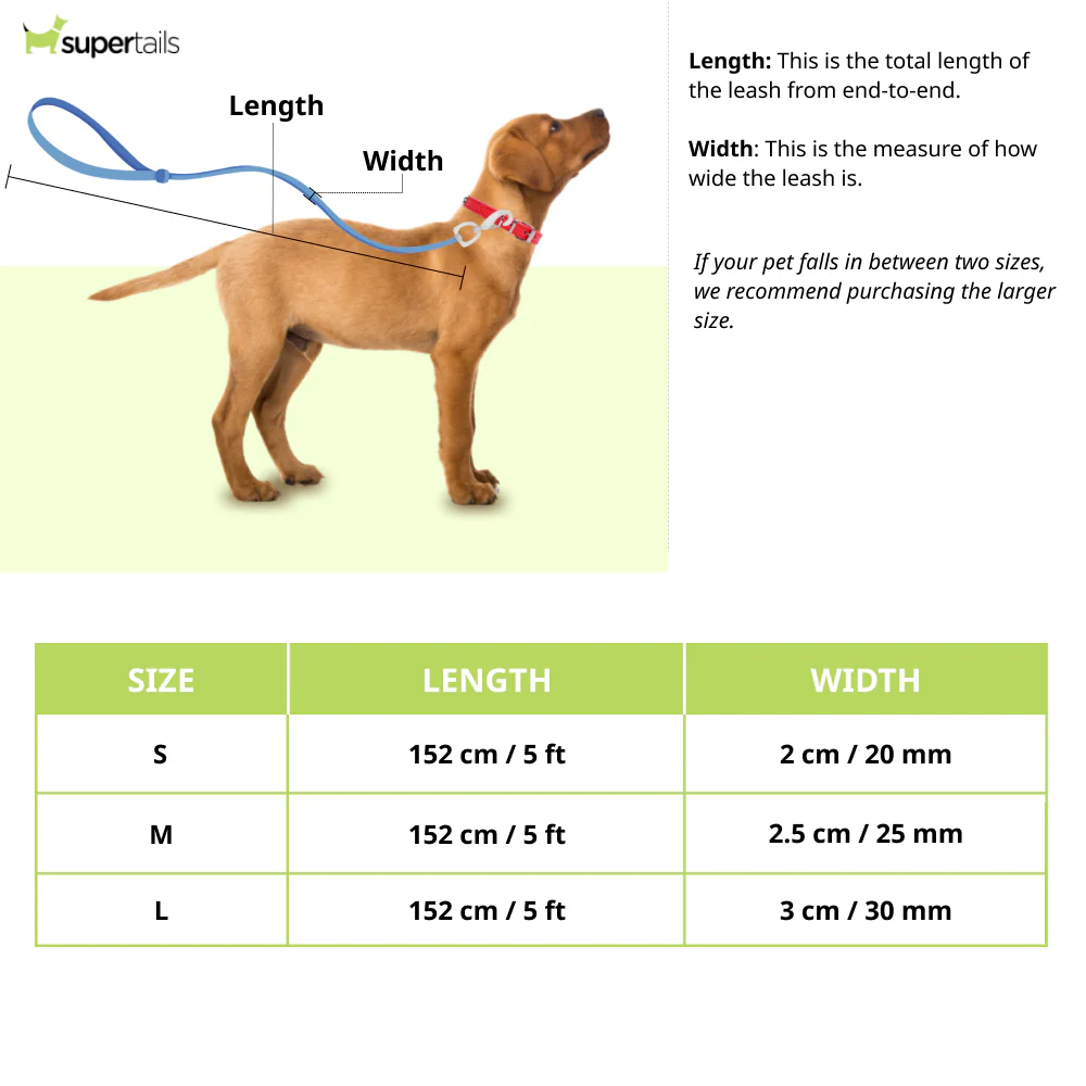 HUFT Basics Nylon Leash for Dogs (Crimson Red) - Image 2