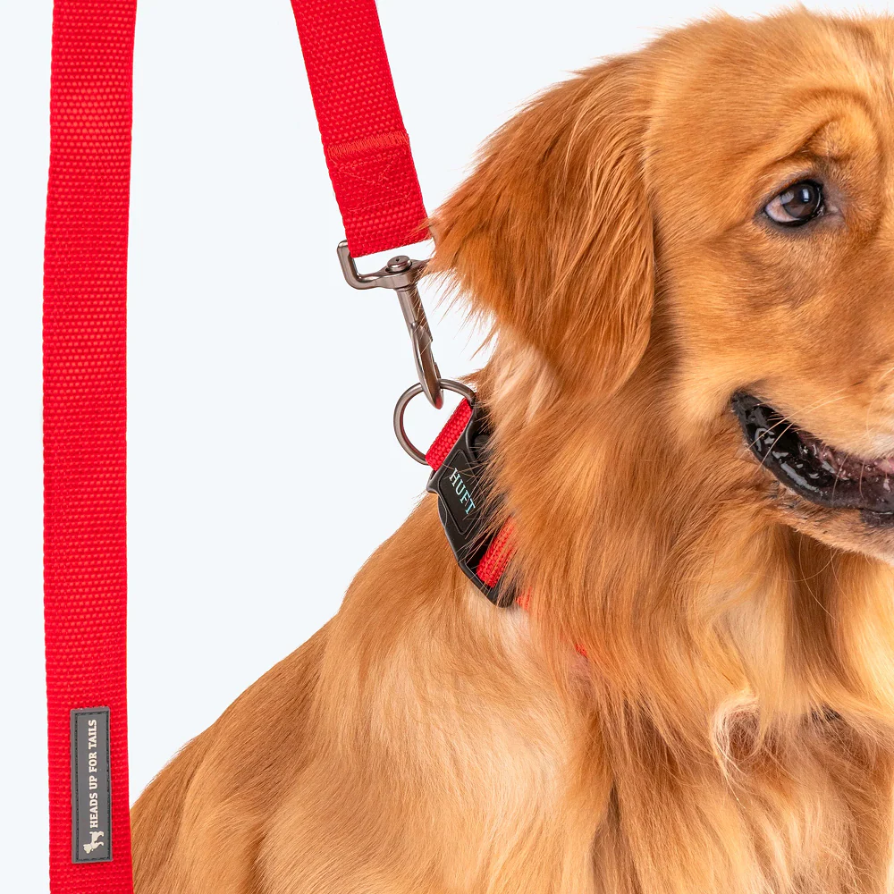 HUFT Basics Nylon Leash for Dogs (Crimson Red) - Image 5