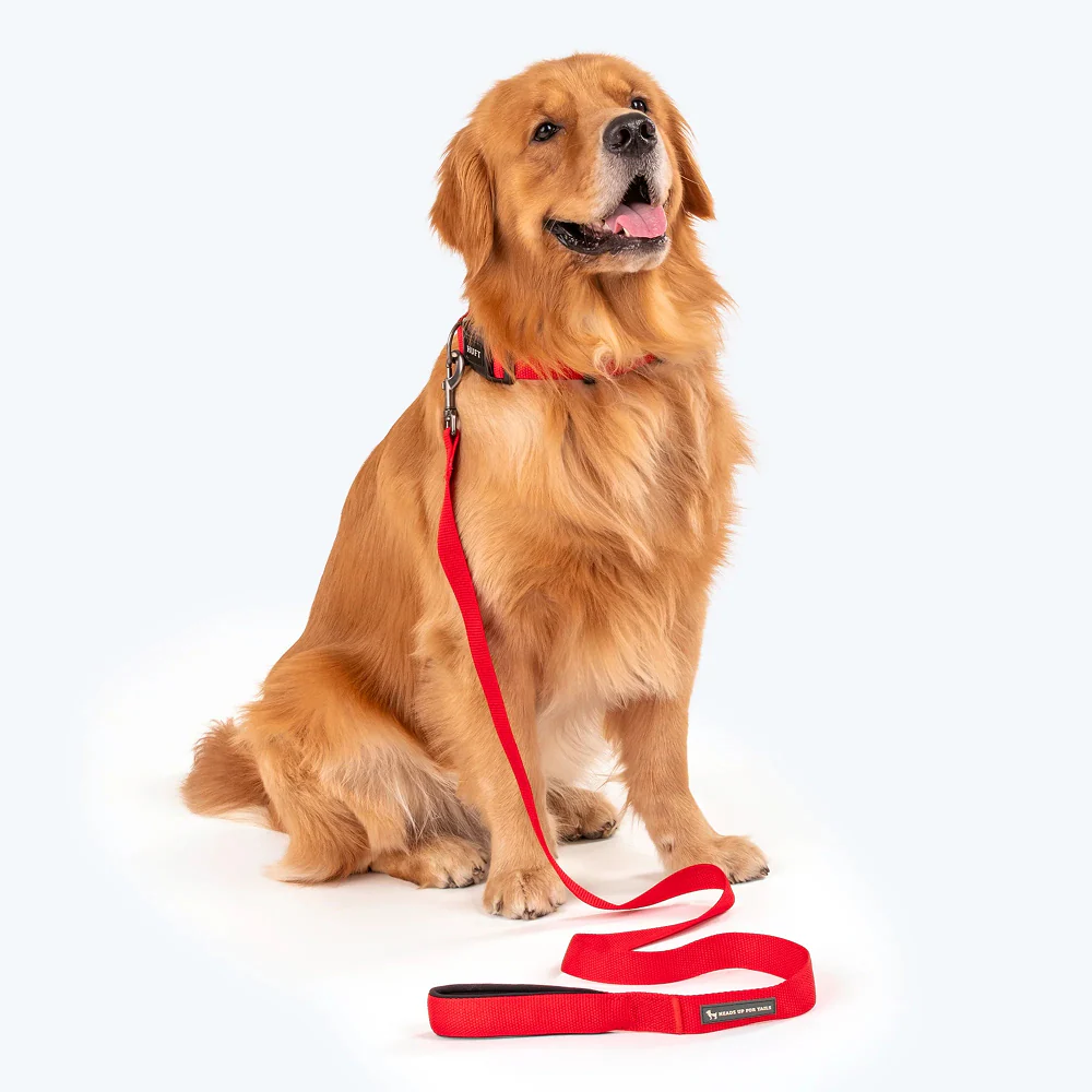 HUFT Basics Nylon Leash for Dogs (Crimson Red) - Image 6