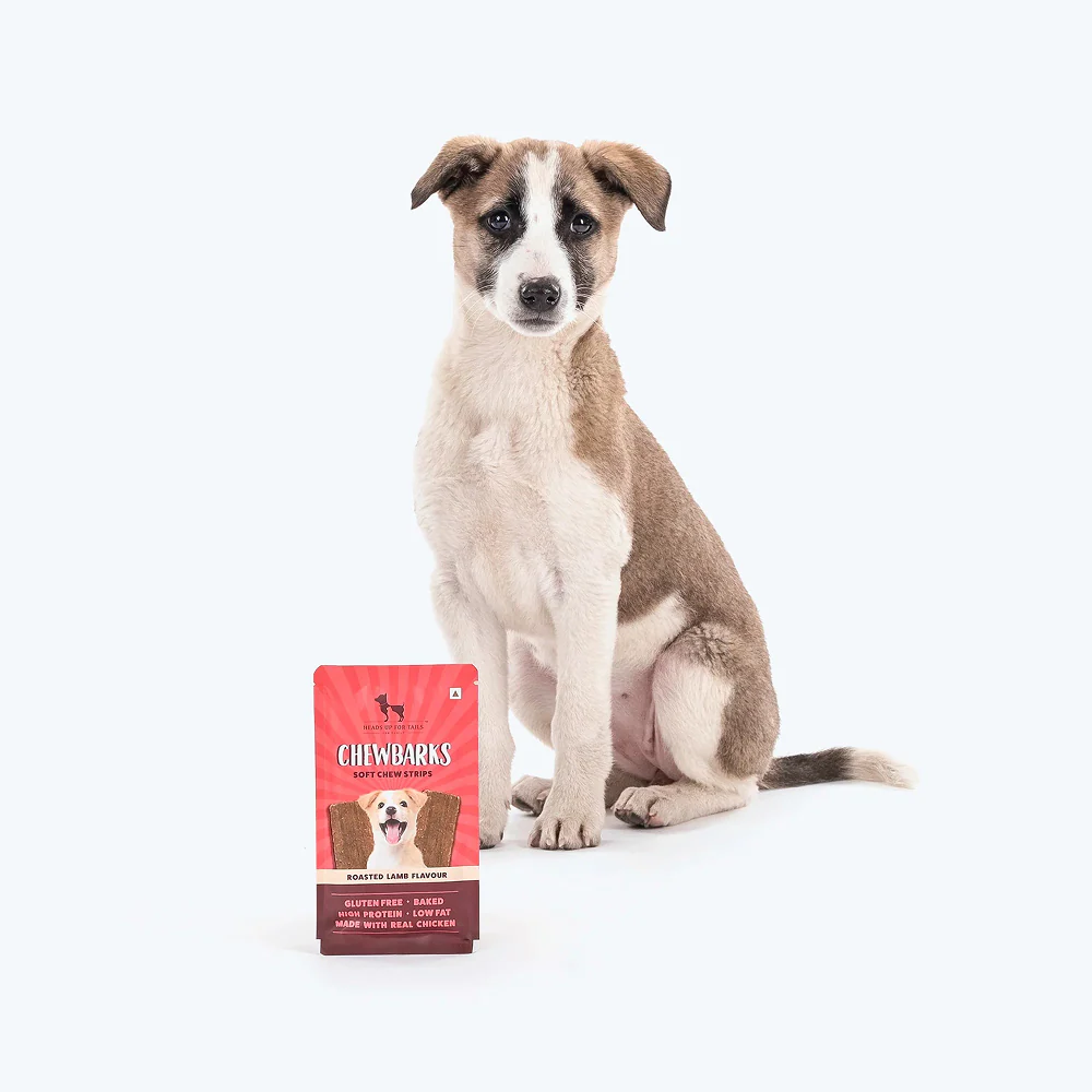 HUFT Chewbarks Gluten Free Roasted Lamb Soft Chew Strips Dog Treats - Image 8