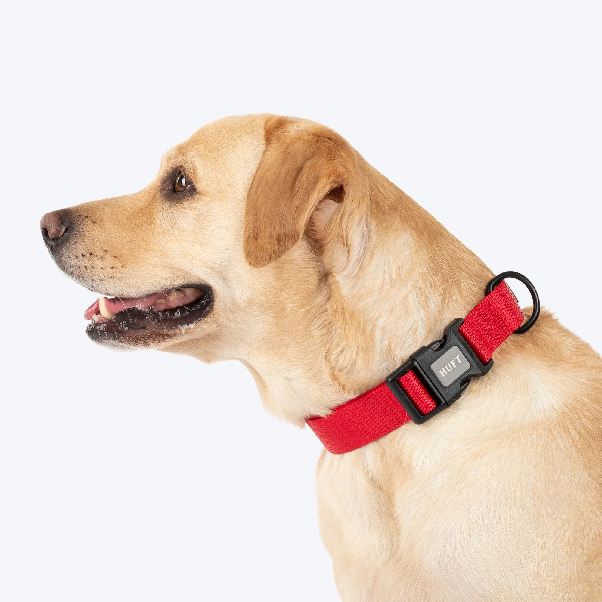 HUFT Classic D Ring Collar for Dogs (Cherry Red) - Image 3