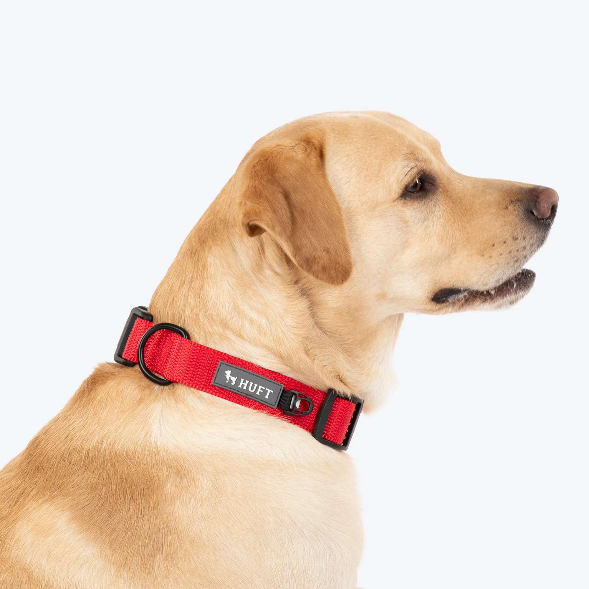 HUFT Classic D Ring Collar for Dogs (Cherry Red) - Image 4